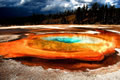 'The Science Behind Yellowstone?s Hot Springs' by Mukund Raguram